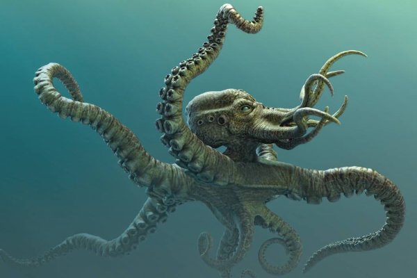 Kraken support